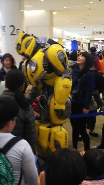 f:id:FormicidaeMan:20190502103217j:plain