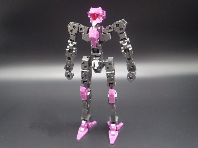 f:id:FormicidaeMan:20190611121923j:image f:id:FormicidaeMan:20190611121923j:image