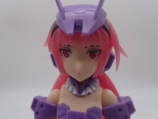 f:id:FormicidaeMan:20190710113208j:image f:id:FormicidaeMan:20190710113208j:image