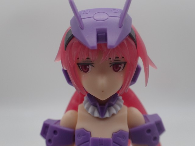 f:id:FormicidaeMan:20190710113223j:image f:id:FormicidaeMan:20190710113223j:image