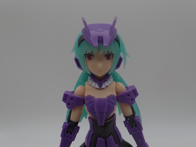 f:id:FormicidaeMan:20190710113258j:image f:id:FormicidaeMan:20190710113258j:image