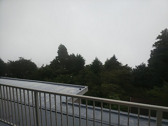 f:id:FormicidaeMan:20190713174141j:image