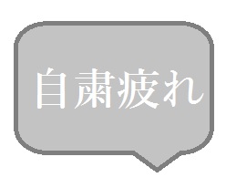 f:id:FrayNEWS:20200505034310j:plain