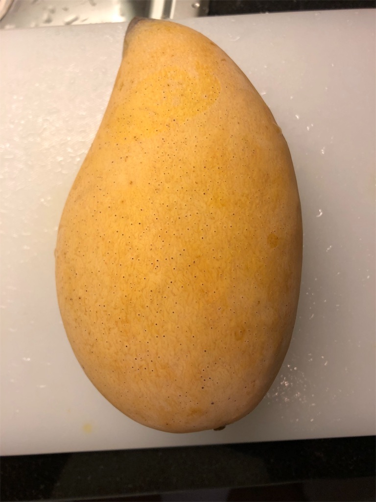 f:id:Fredsan-OK:20190324104711j:image