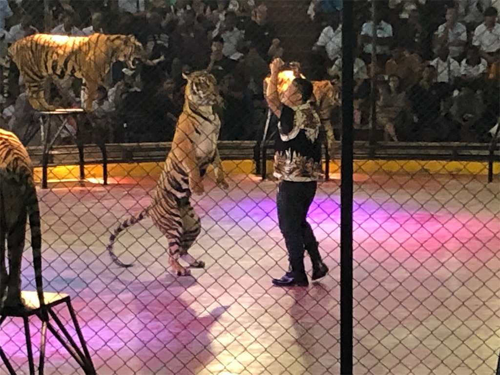 f:id:Fredsan-OK:20190819080927j:image f:id:Fredsan-OK:20190819080927j:image