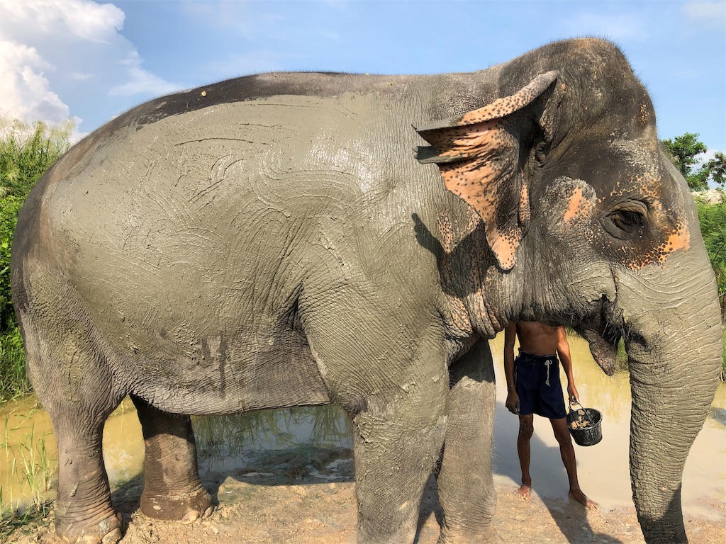 f:id:Fredsan-OK:20191016190520j:image