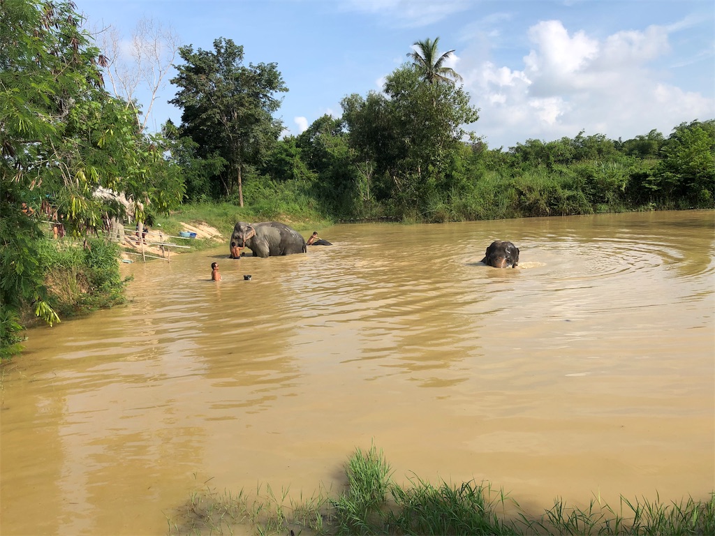 f:id:Fredsan-OK:20191016190525j:image