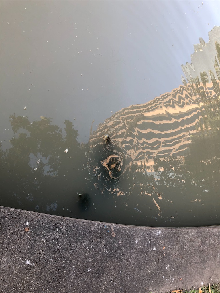 f:id:Fredsan-OK:20191116212512j:image