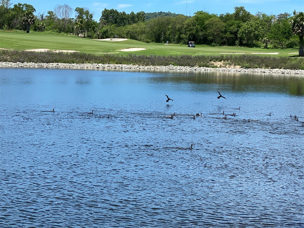 f:id:Fredsan-OK:20200620171445j:image f:id:Fredsan-OK:20200620171445j:image