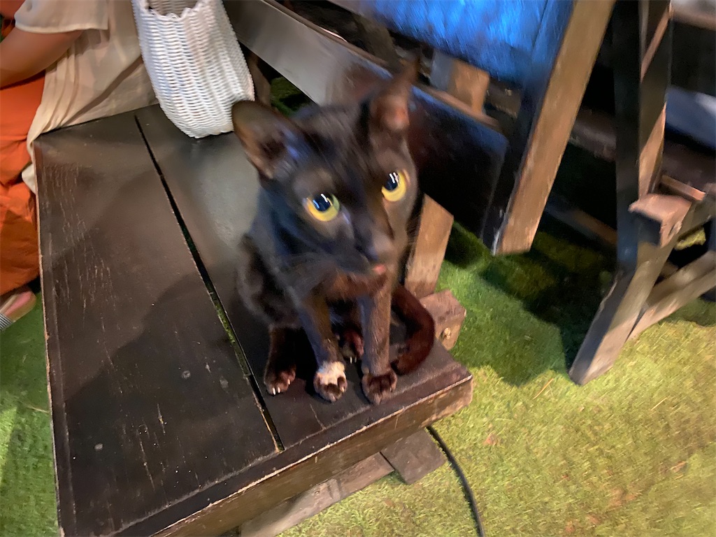 f:id:Fredsan-OK:20200813192838j:image