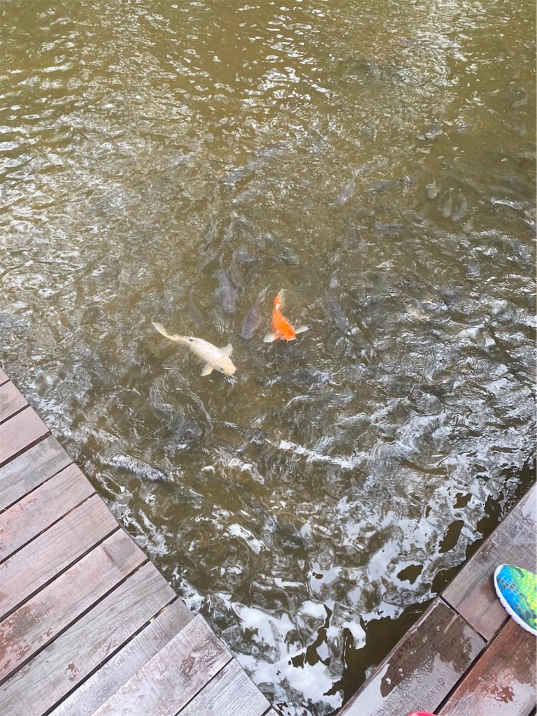 f:id:Fredsan-OK:20201026194414j:image f:id:Fredsan-OK:20201026194414j:image