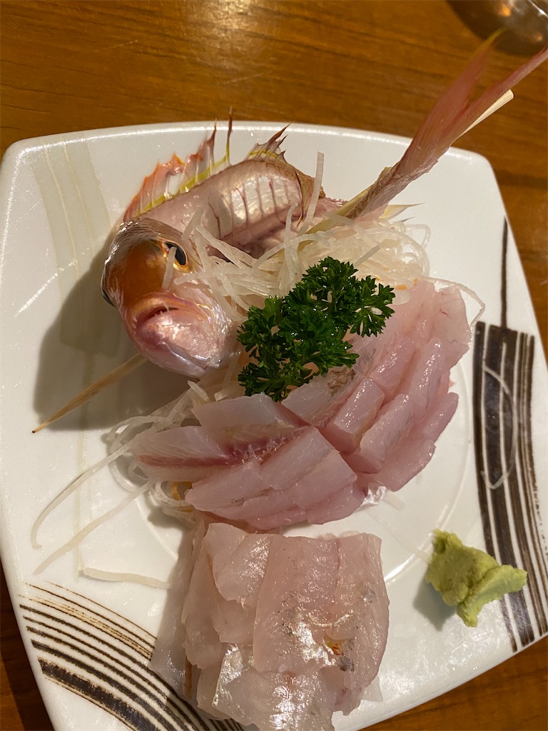 f:id:Fredsan-OK:20201221190621j:image