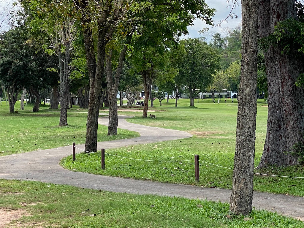 f:id:Fredsan-OK:20210418160509j:image f:id:Fredsan-OK:20210418160509j:image