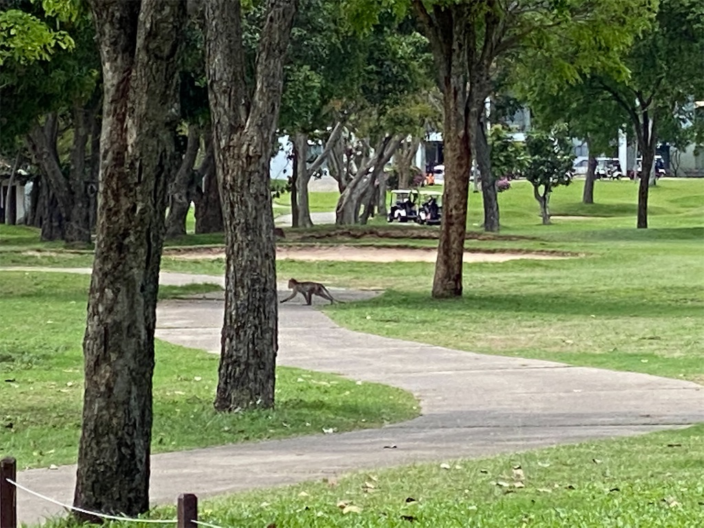 f:id:Fredsan-OK:20210418160520j:image f:id:Fredsan-OK:20210418160520j:image