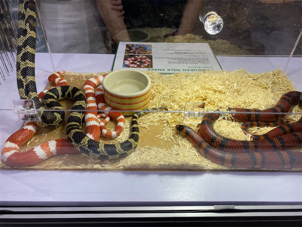 f:id:Fredsan-OK:20211129201428j:image f:id:Fredsan-OK:20211129201428j:image