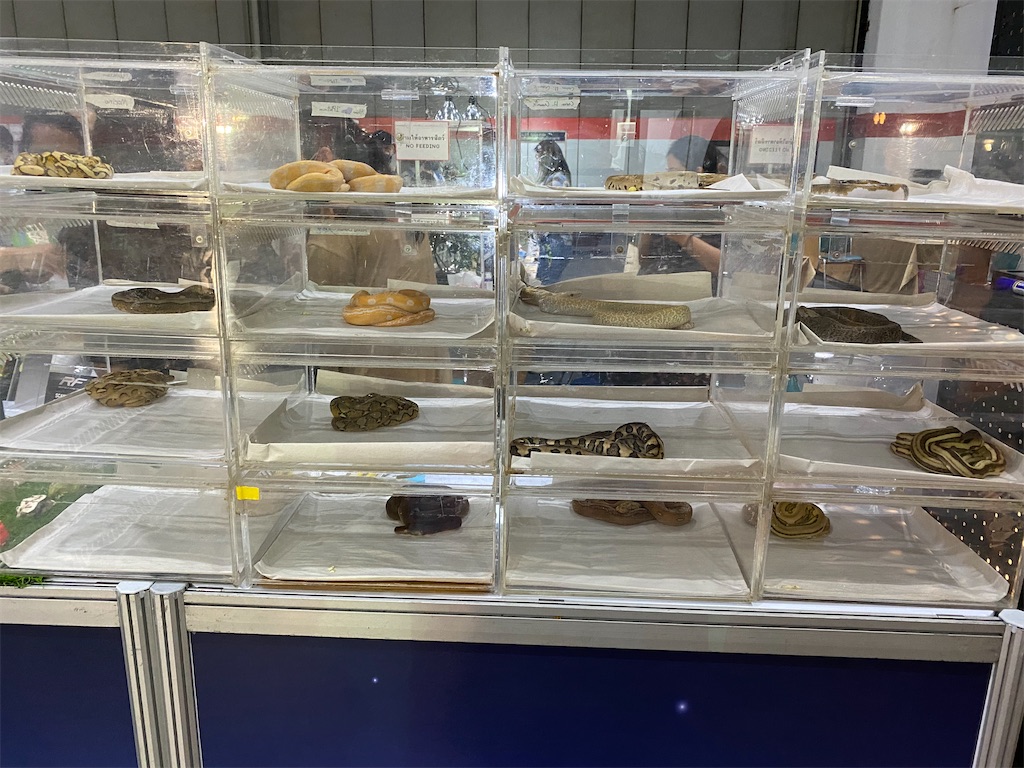 f:id:Fredsan-OK:20211129201450j:image f:id:Fredsan-OK:20211129201450j:image