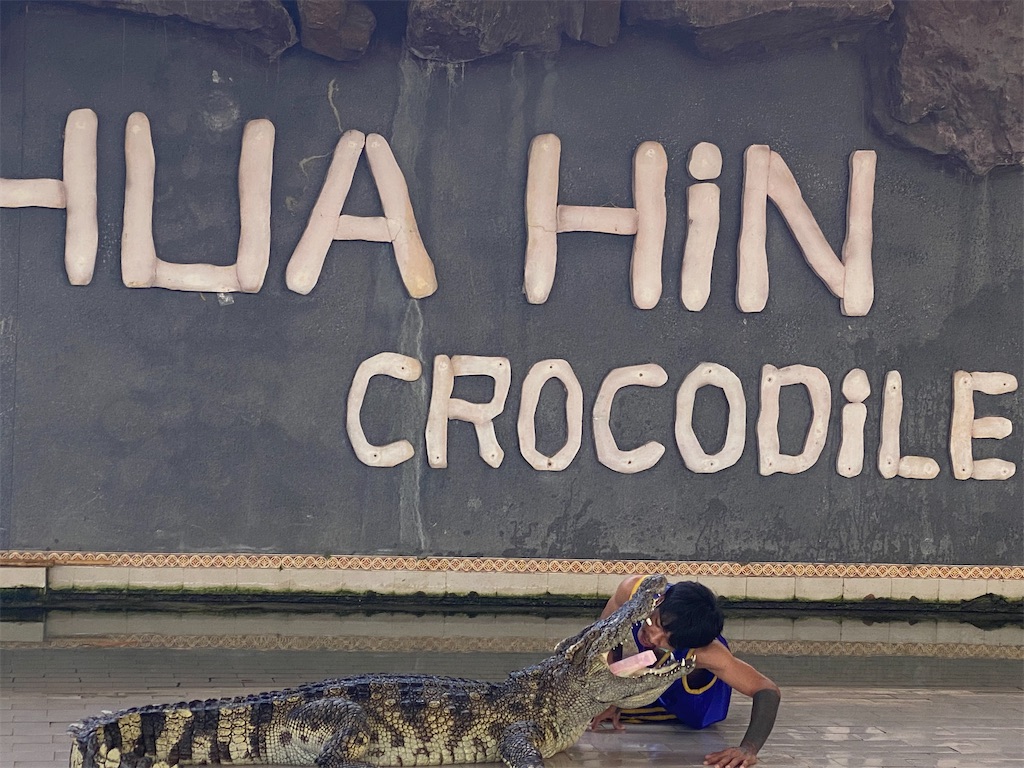 f:id:Fredsan-OK:20220131001024j:image