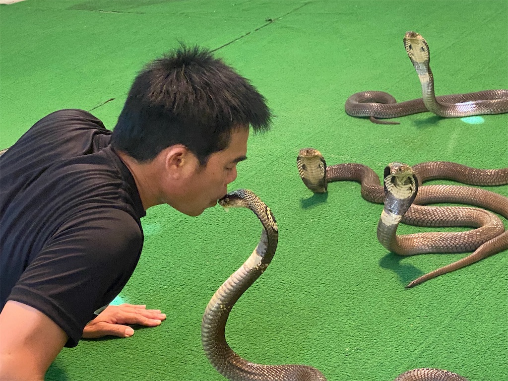 f:id:Fredsan-OK:20220131001034j:image