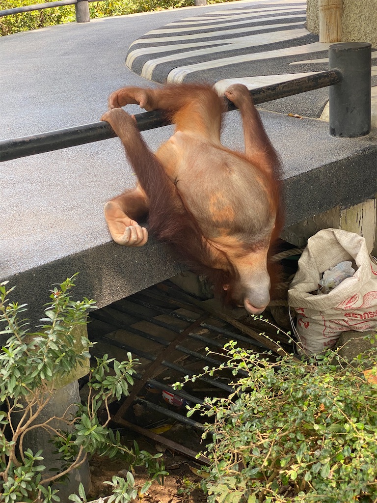 f:id:Fredsan-OK:20220131001043j:image