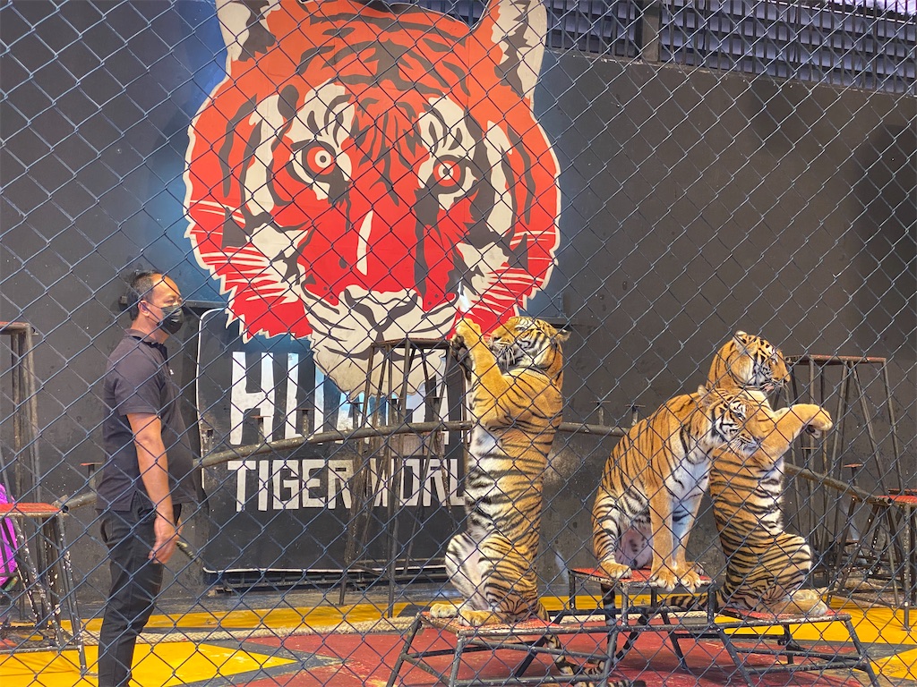 f:id:Fredsan-OK:20220131001049j:image