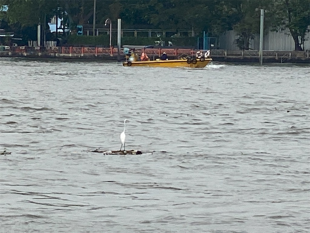 f:id:Fredsan-OK:20220216171216j:image f:id:Fredsan-OK:20220216171216j:image