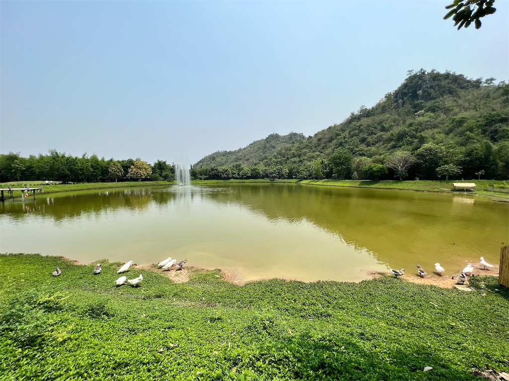 f:id:Fredsan-OK:20220409181253j:image