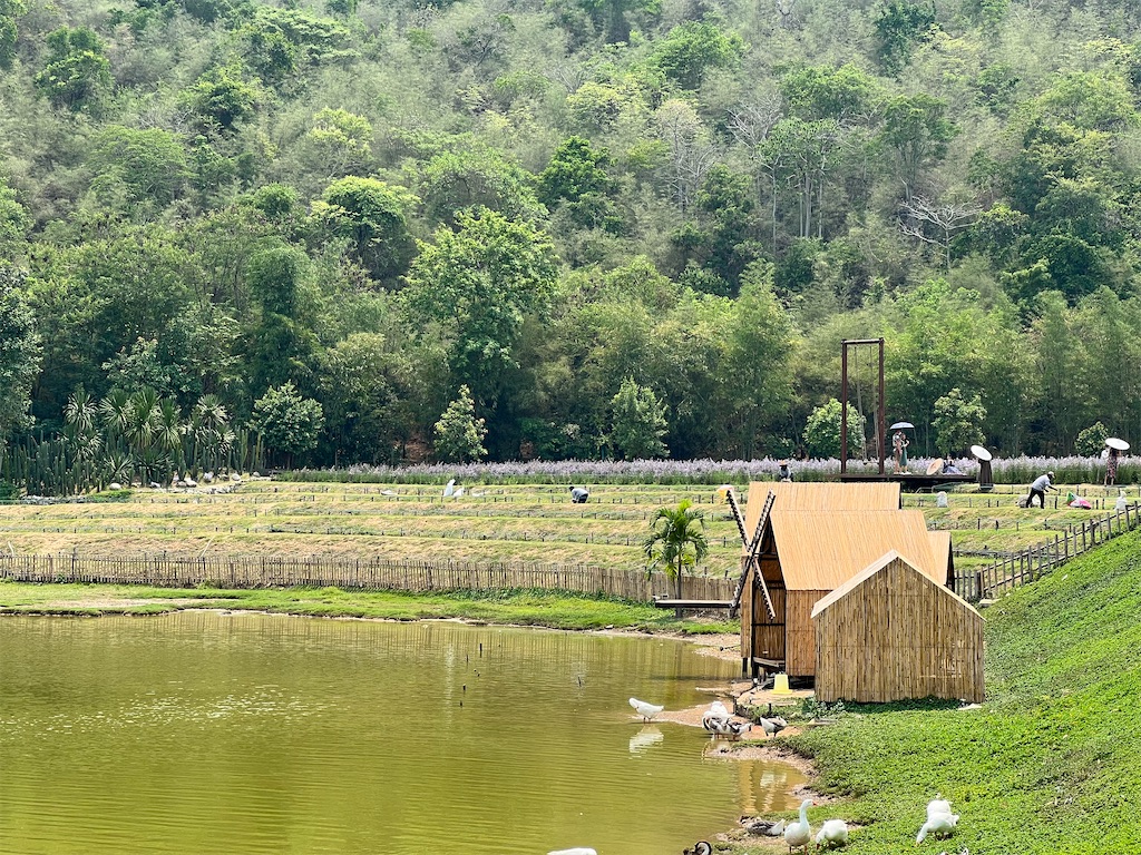 f:id:Fredsan-OK:20220410232506j:image