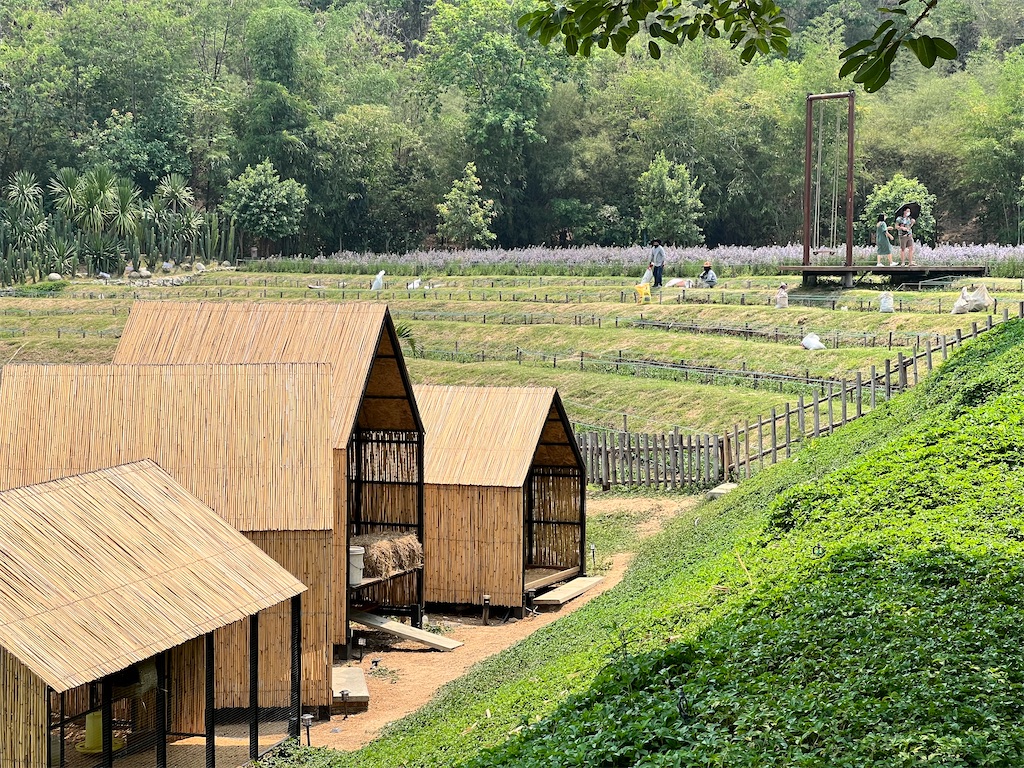 f:id:Fredsan-OK:20220410232509j:image