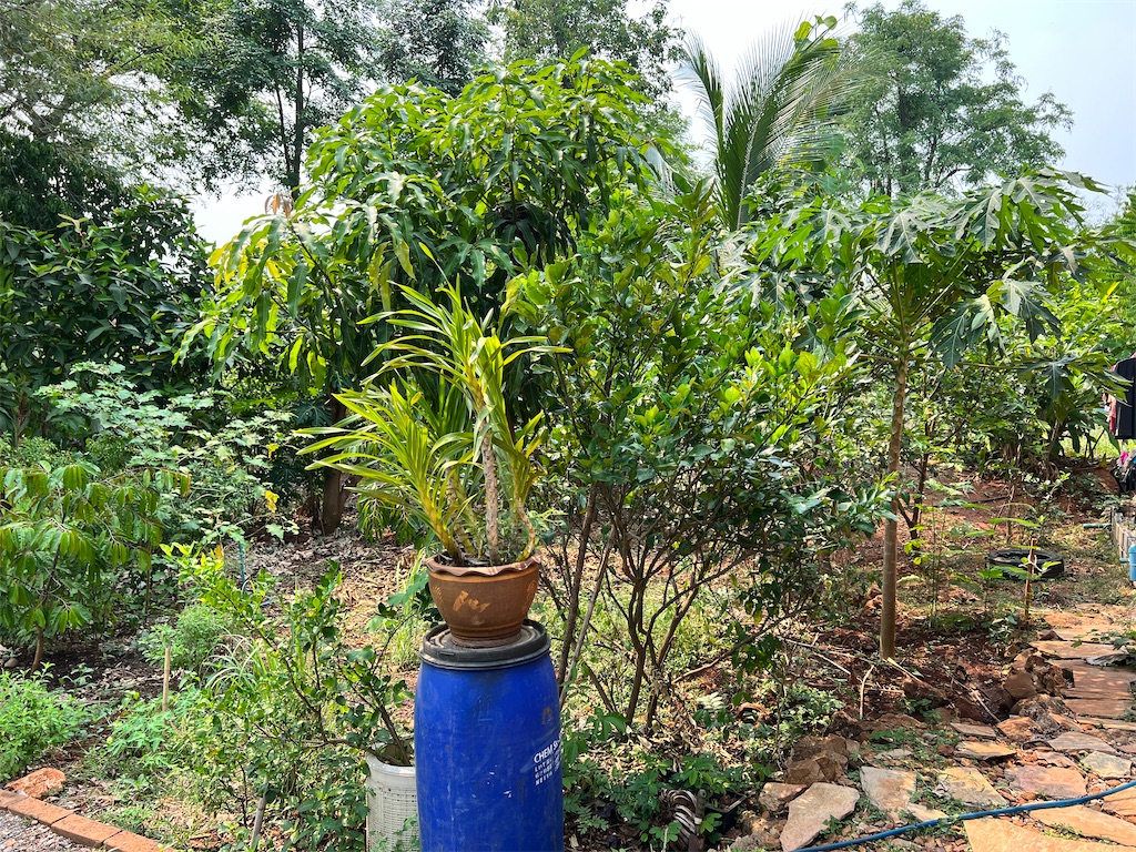 f:id:Fredsan-OK:20220412163600j:image