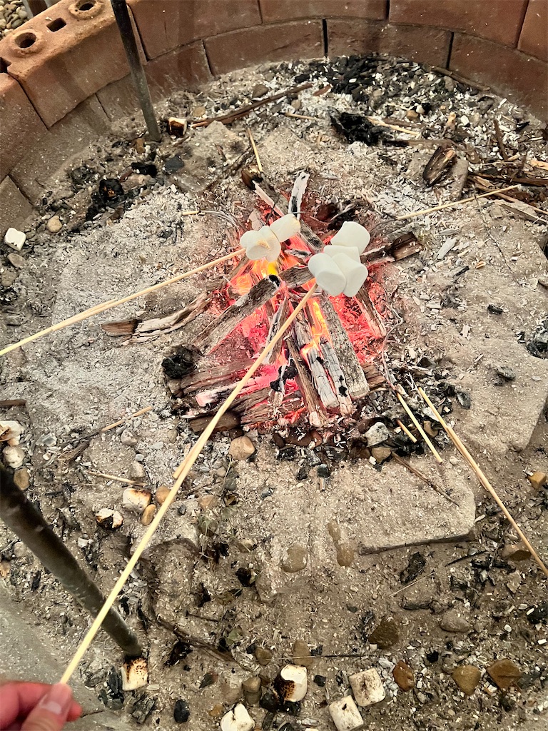 f:id:Fredsan-OK:20220415185041j:image