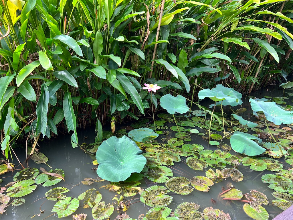 f:id:Fredsan-OK:20220514185732j:image