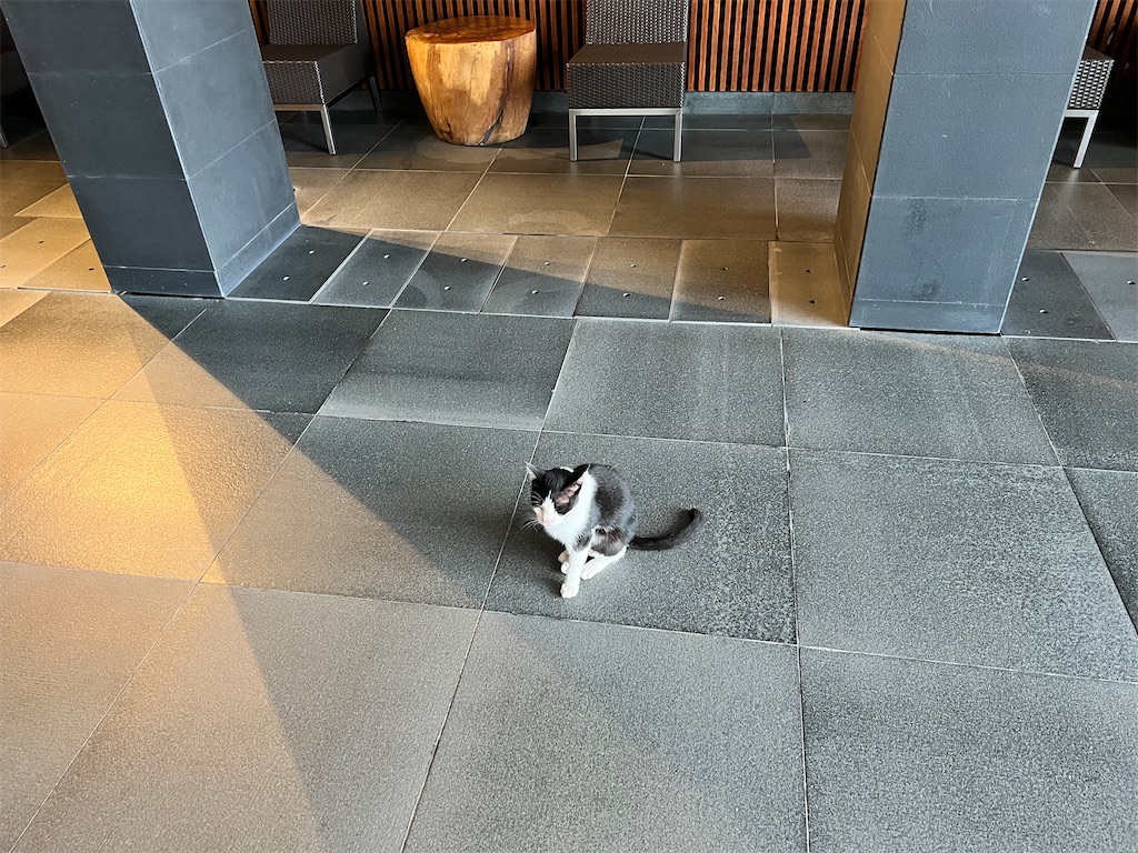 f:id:Fredsan-OK:20220810163930j:image f:id:Fredsan-OK:20220810163930j:image