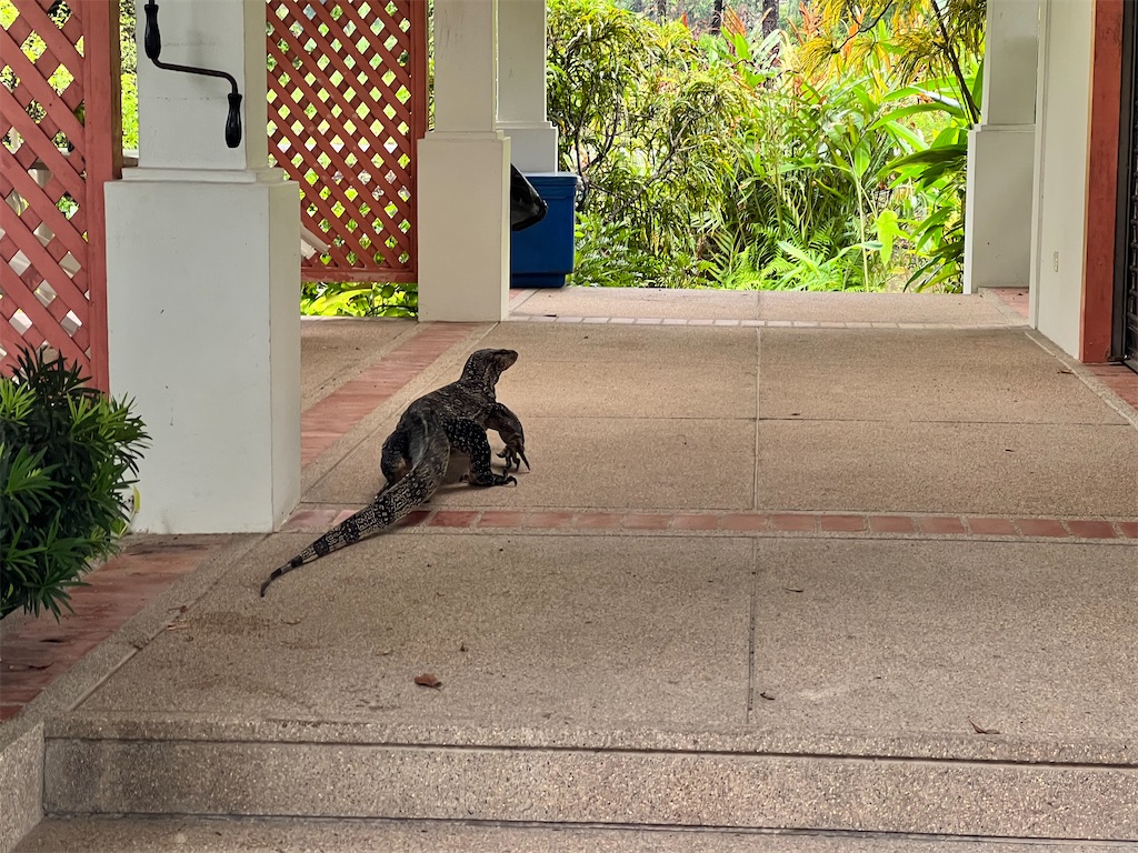 f:id:Fredsan-OK:20220925193022j:image f:id:Fredsan-OK:20220925193022j:image