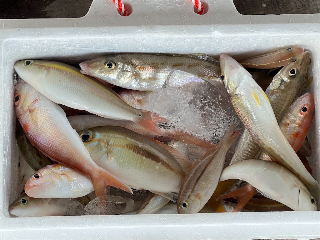 f:id:Fredsan-OK:20221107084221j:image f:id:Fredsan-OK:20221107084221j:image