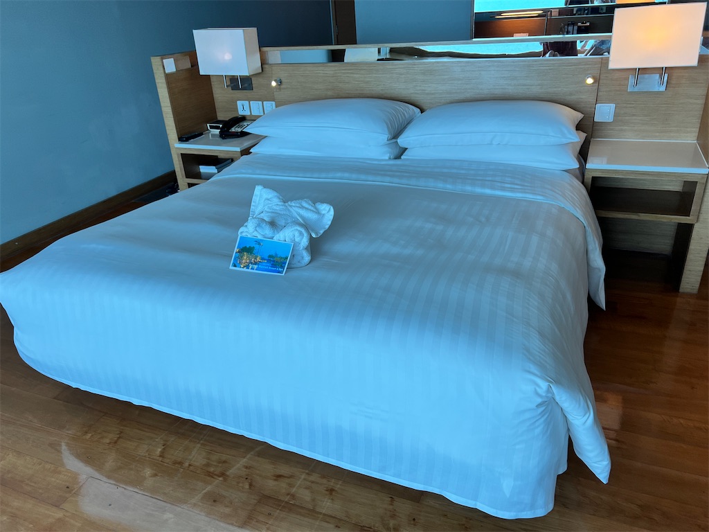 f:id:Fredsan-OK:20221229142051j:image