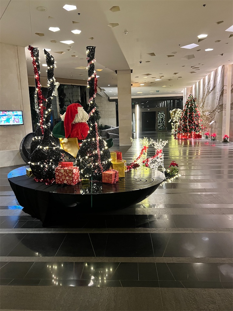 f:id:Fredsan-OK:20221229142121j:image