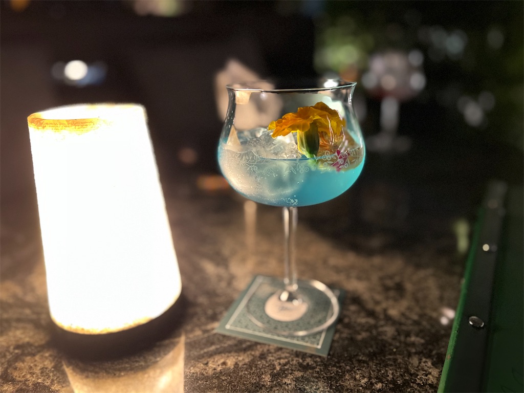 f:id:Fredsan-OK:20230129161003j:image