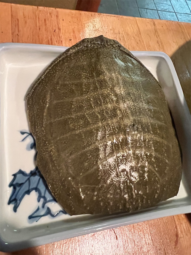 f:id:Fredsan-OK:20230307233706j:image f:id:Fredsan-OK:20230307233706j:image