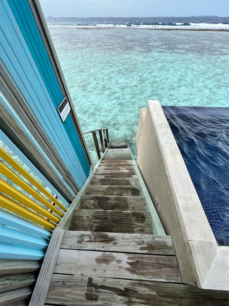 f:id:Fredsan-OK:20230309193525j:image f:id:Fredsan-OK:20230309193525j:image