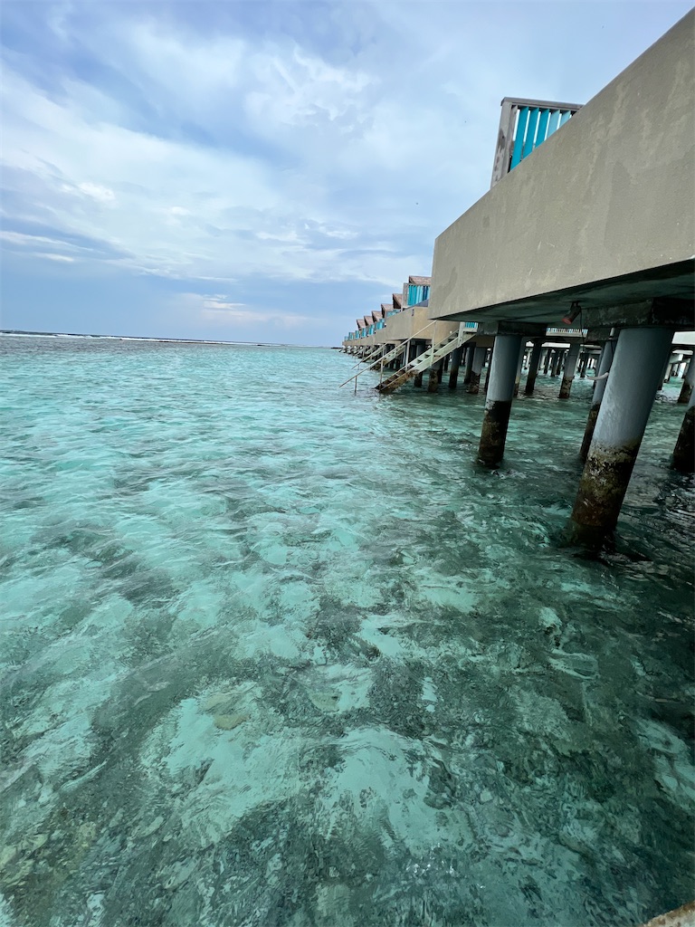 f:id:Fredsan-OK:20230309193528j:image f:id:Fredsan-OK:20230309193528j:image