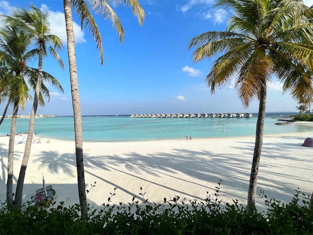 f:id:Fredsan-OK:20230309193756j:image