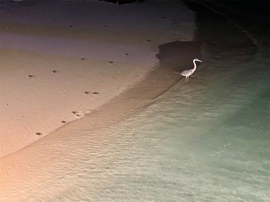 f:id:Fredsan-OK:20230309194852j:image f:id:Fredsan-OK:20230309194852j:image