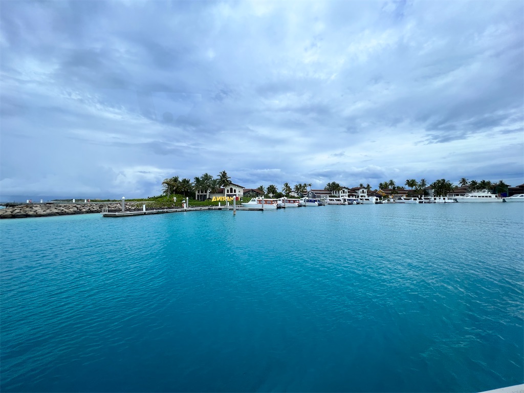 f:id:Fredsan-OK:20230309194923j:image f:id:Fredsan-OK:20230309194923j:image