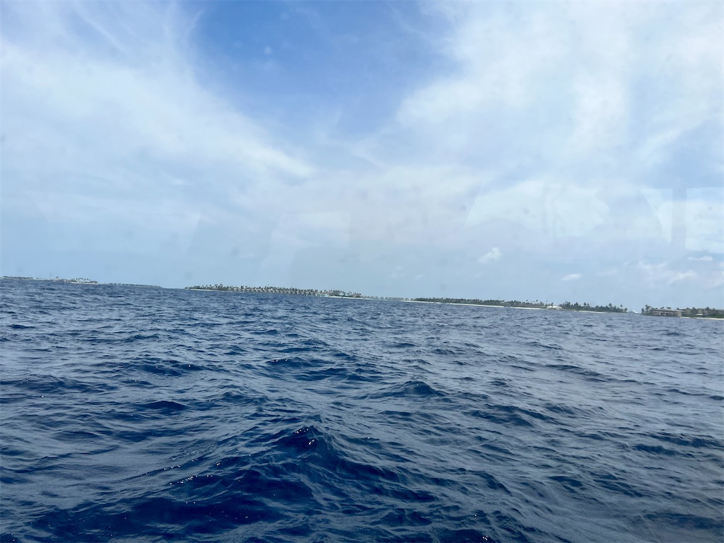 f:id:Fredsan-OK:20230317184937j:image f:id:Fredsan-OK:20230317184937j:image