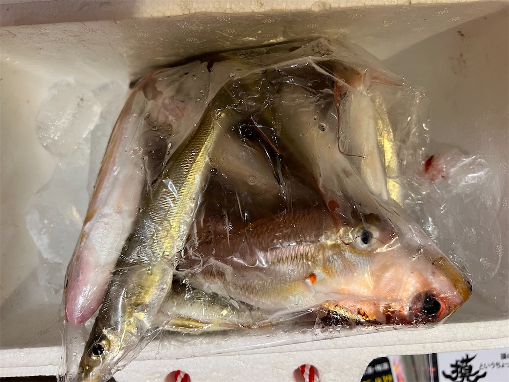 f:id:Fredsan-OK:20230511083843j:image f:id:Fredsan-OK:20230511083843j:image