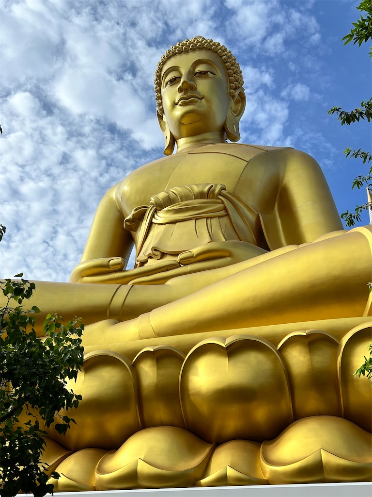 f:id:Fredsan-OK:20231031075603j:image f:id:Fredsan-OK:20231031075603j:image