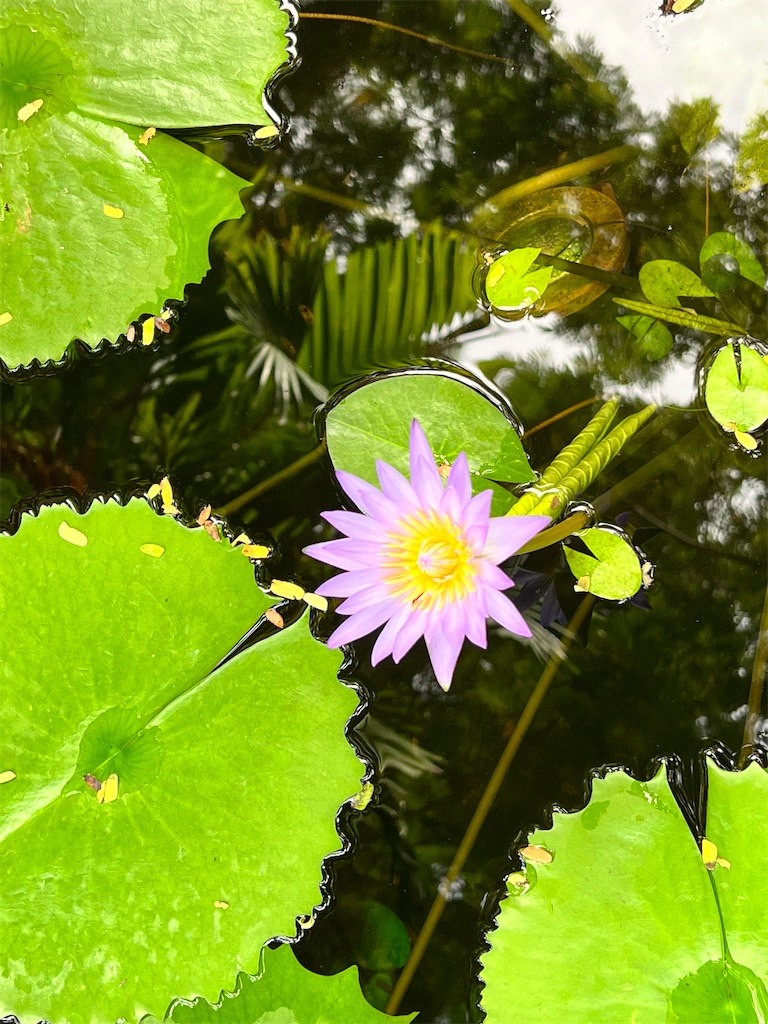 f:id:Fredsan-OK:20231031080044j:image f:id:Fredsan-OK:20231031080044j:image