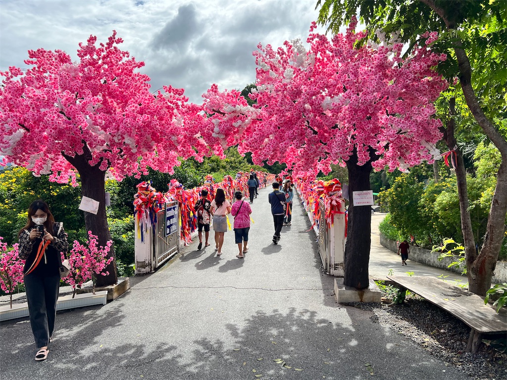 f:id:Fredsan-OK:20231105082446j:image f:id:Fredsan-OK:20231105082446j:image