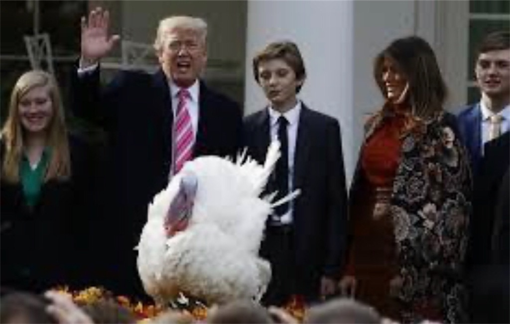 f:id:FreeEA:20191128233426j:image