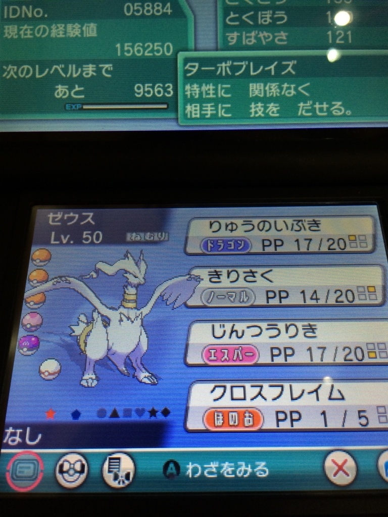 色違いポケモン紹介 Oras産 レシラム ゼクロム 自由に生きてあそblog